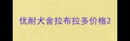 优耐犬舍拉布拉多价格