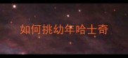 如何挑幼年哈士奇