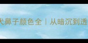 巧克力色泰迪犬鼻子颜色全从暗沉到透亮护理指南