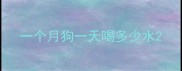 一个月狗一天喝多少水