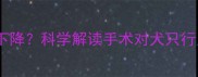 哈士奇绝育后战斗力下降科学解读手术对犬只行为与健康的长期影响