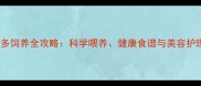 拉布拉多饲养全攻略科学喂养健康食谱与美容护理指南