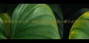 5个月博美成长全记录超萌小奶狗变精致小狮子必看养成攻略