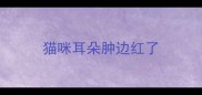 猫咪耳朵肿边红了
