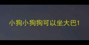 小狗小狗狗可以坐大巴