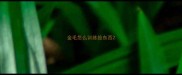 金毛怎么训练捡东西