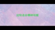 边牧适合哪种项圈