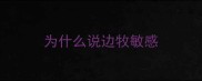 为什么说边牧敏感
