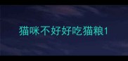 猫咪不好好吃猫粮
