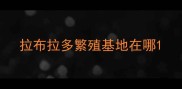 拉布拉多繁殖基地在哪