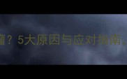 狗狗前爪出现肉瘤5大原因与应对指南养宠家长必看