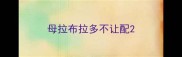 母拉布拉多不让配