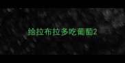 给拉布拉多吃葡萄