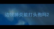 边牧肺炎能打头孢吗