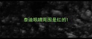 泰迪眼睛周围是红的