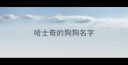 哈士奇的狗狗名字