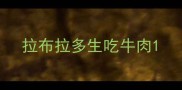 拉布拉多生吃牛肉