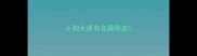 小狗大便有点稀带血