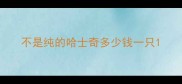 不是纯的哈士奇多少钱一只