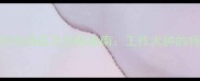 哈士奇吠叫行为特征及训练指南工作犬种的特殊发声机制