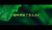猫咪便秘了怎么办
