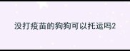 没打疫苗的狗狗可以托运吗