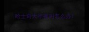 哈士奇大半夜叫怎么办