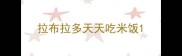 拉布拉多天天吃米饭