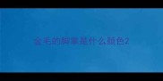 金毛的脚掌是什么颜色
