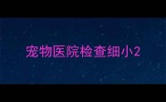 宠物医院检查细小