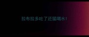 拉布拉多吐了还猛喝水