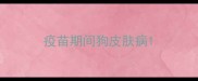疫苗期间狗皮肤病