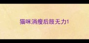 猫咪消瘦后肢无力