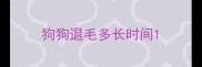 狗狗退毛多长时间