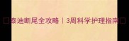 泰迪断尾全攻略3周科学护理指南