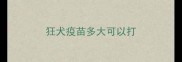 狂犬疫苗多大可以打