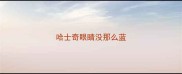 哈士奇眼睛没那么蓝