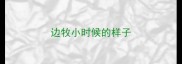 边牧小时候的样子