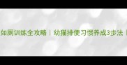 新手必看猫咪如厕训练全攻略幼猫排便习惯养成3步法零失败教程