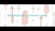 宠物疫苗接种全攻略如何科学防护小犬健康