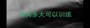 狗狗多大可以训练