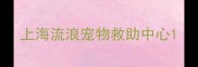 上海流浪宠物救助中心