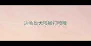 边牧幼犬咳嗽打喷嚏