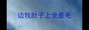 边牧肚子上全是毛