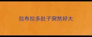 拉布拉多肚子突然好大