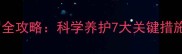 泰迪犬冬季防感冒全攻略科学养护7大关键措施及应急处理方案