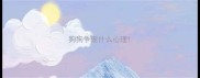 狗狗争宠什么心理