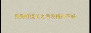 狗狗打疫苗之后没精神不好