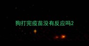 狗打完疫苗没有反应吗
