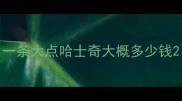 一条大点哈士奇大概多少钱
